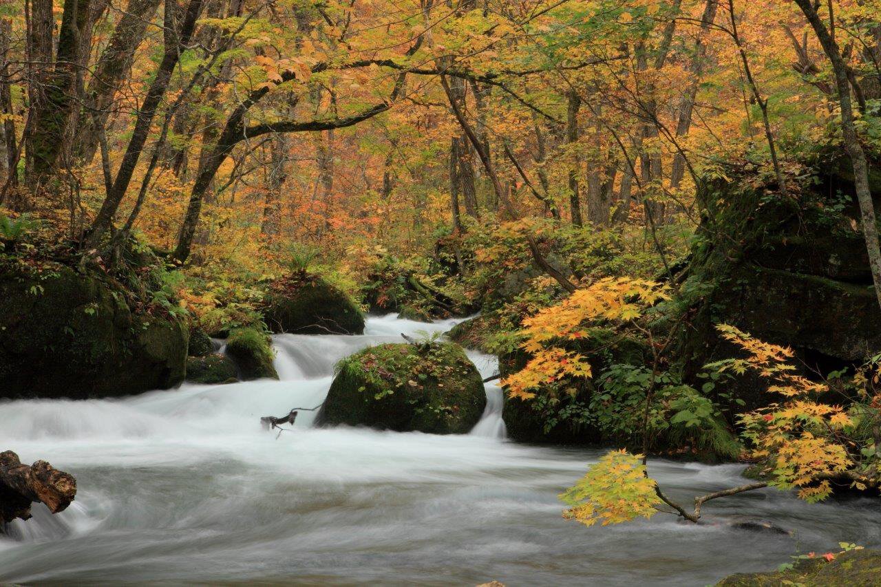 Oirase Gorge