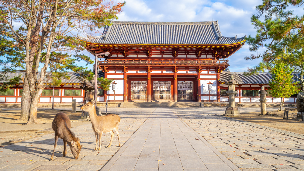 Todaiji Temple