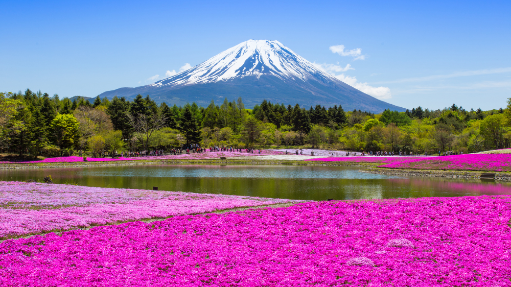 Mount Fuji