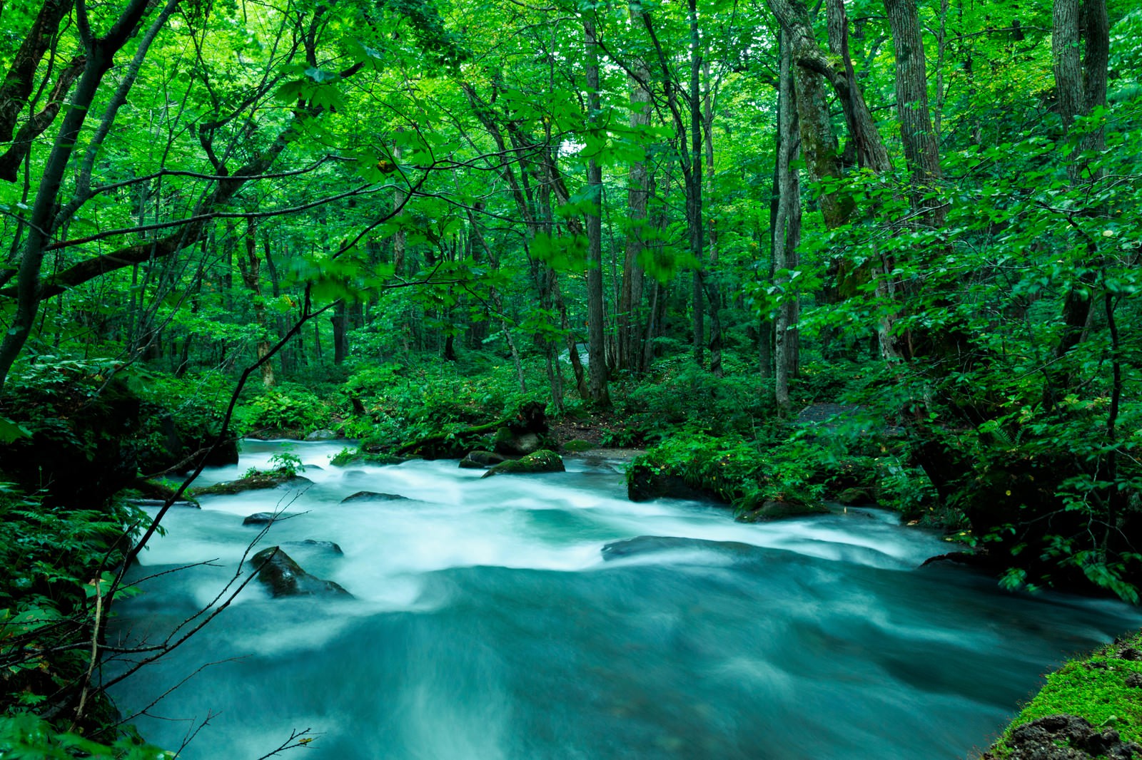 Oirase Gorge