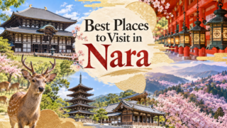 Best Places to Visit in Nara