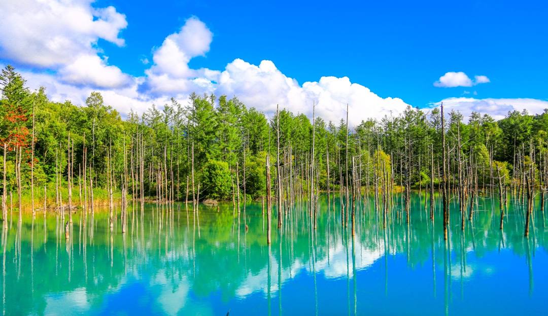 Shirogane Blue Pond: A Mystical Blue Paradise