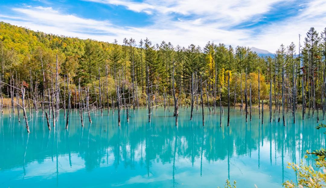 Shirogane Blue Pond: A Mystical Blue Paradise