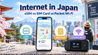 Internet in Japan: eSIM vs SIM Card vs Pocket Wi-Fi for Tourists